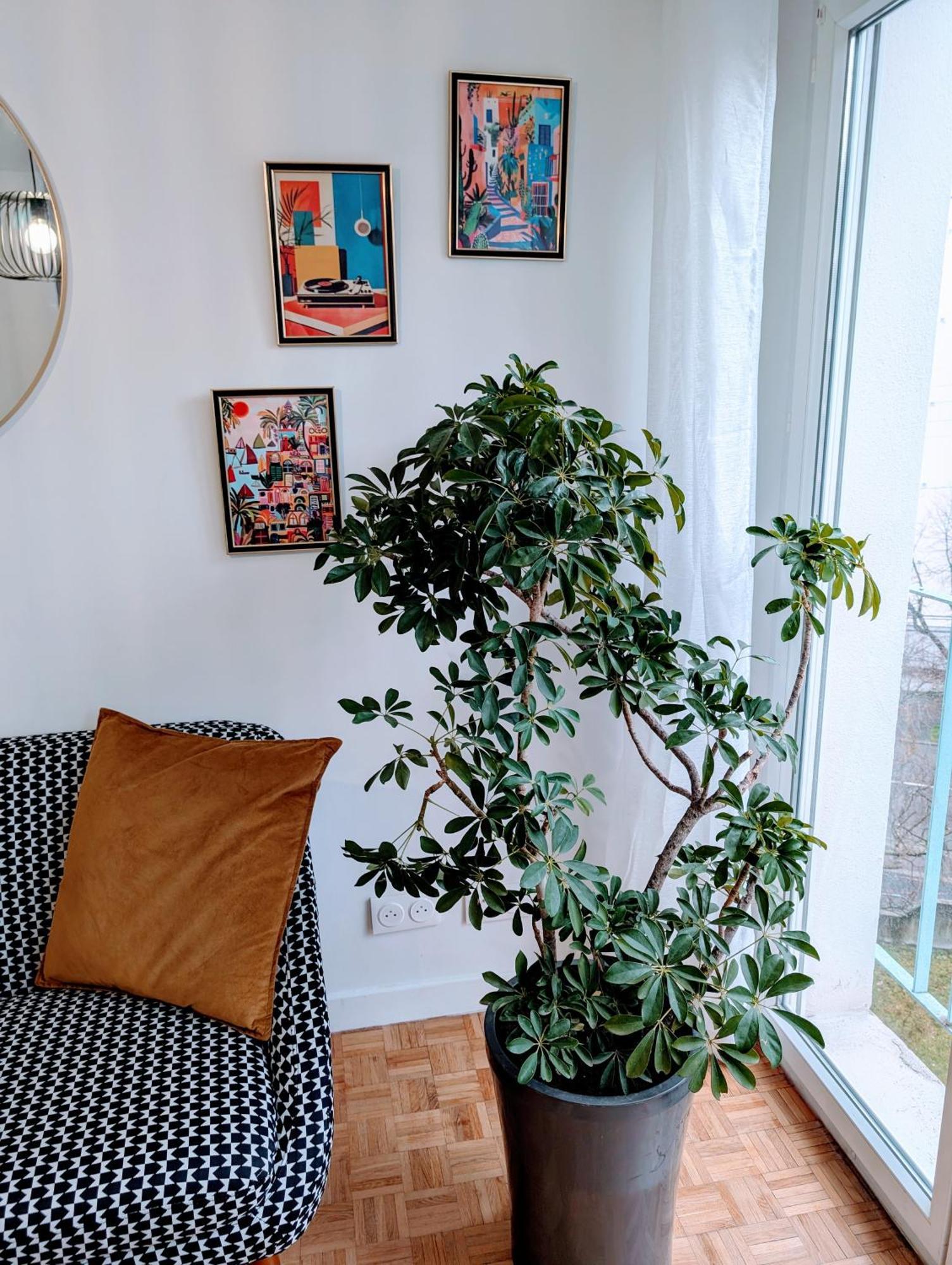 L'appart Le 19 , F3 Proche Centre Vue Cathedrale, 2 * Clermont-Ferrand
